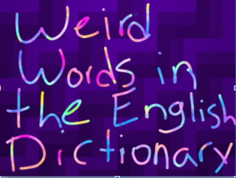 Weird (and Real) Words in the English Dictionary